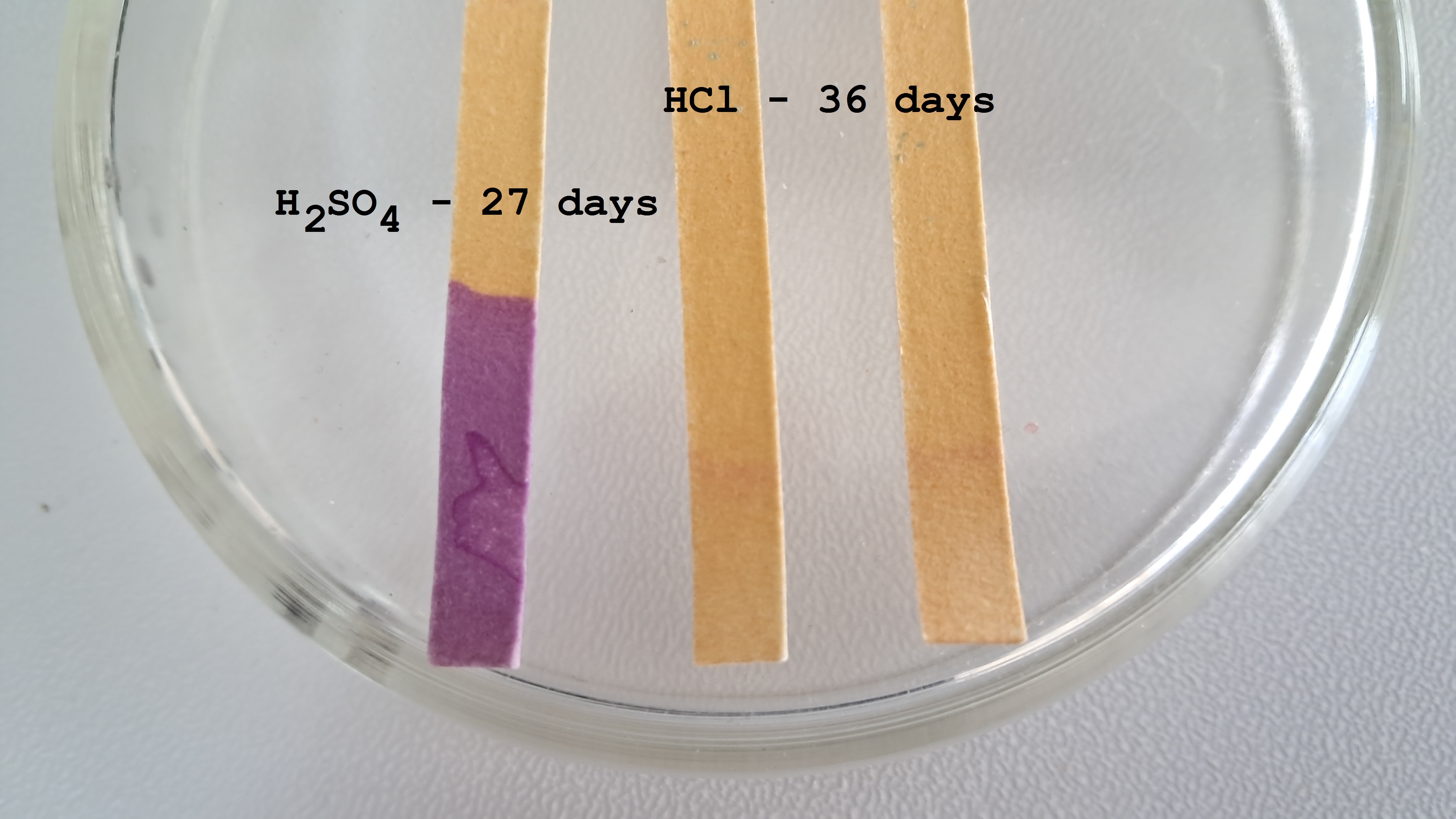 Universal Indicator Paper: Color Change Over Time